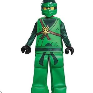LEGO Costume